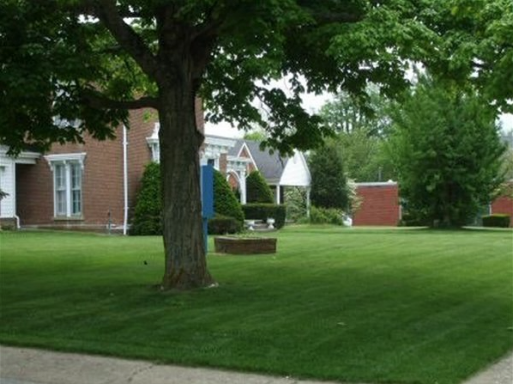 Richardson Funeral Home Obituaries & Services In Owingsville, Ky